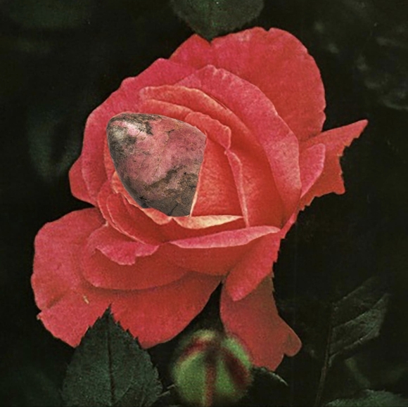 🆕 CHAKRUBS SITE WIDE PROMO CODE - Picture 2 of 5